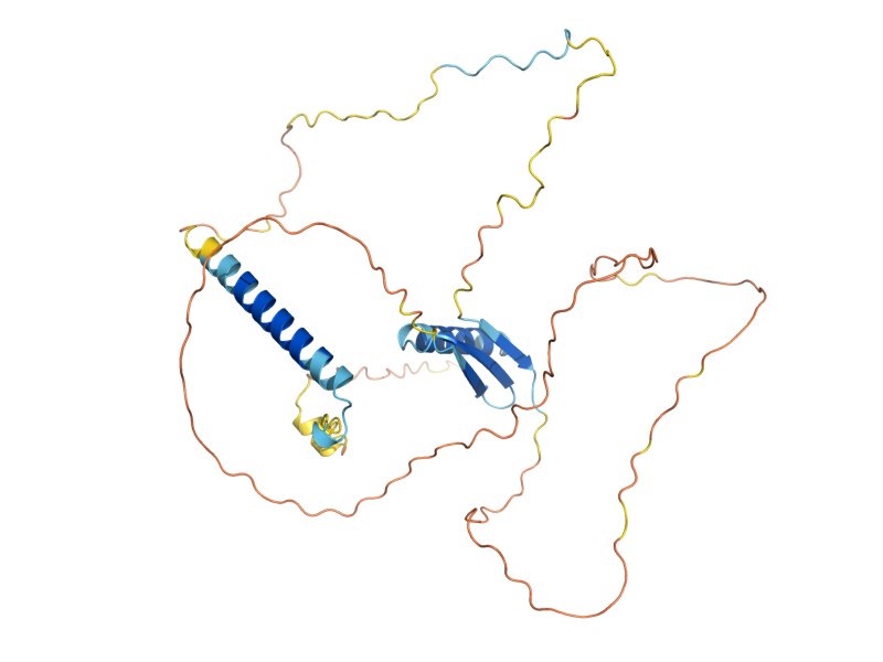 AlphaFold predicted structure of DIG2