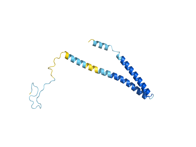 AlphaFold predicted structure of CWC21