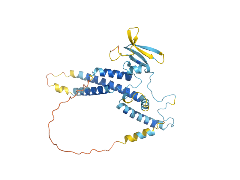 AlphaFold predicted structure of SLD5