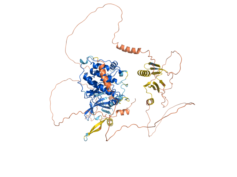 AlphaFold predicted structure of PKH1