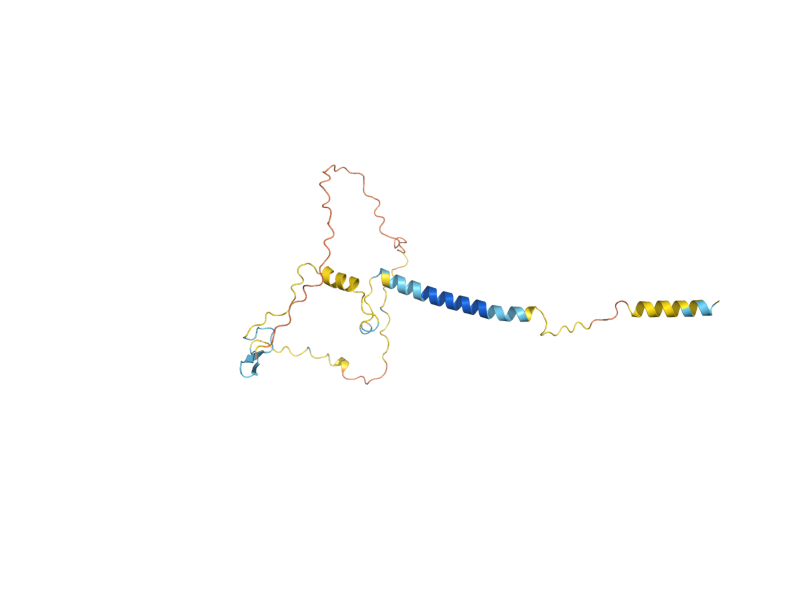 AlphaFold predicted structure of RCR2