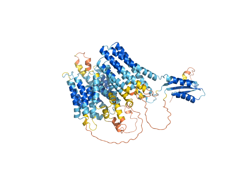 AlphaFold predicted structure of MSC2