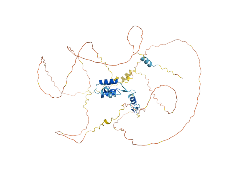 AlphaFold predicted structure of RPN4