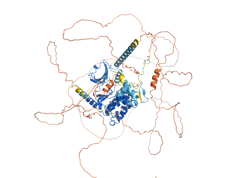 AlphaFold predicted structure of STE20