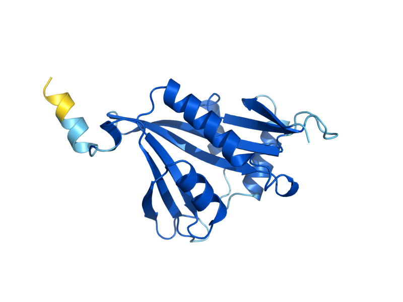 AlphaFold predicted structure of MAK3