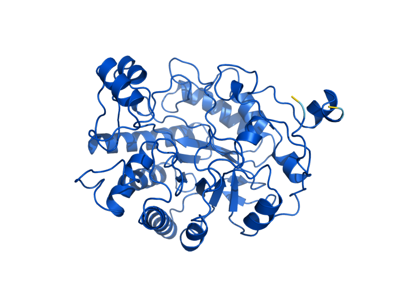 AlphaFold predicted structure of OYE2
