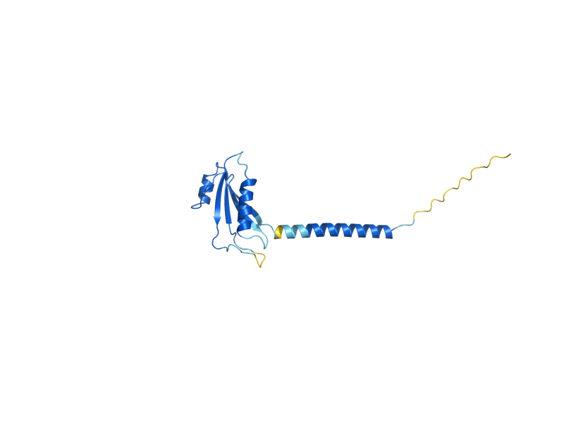 AlphaFold predicted structure of LIP1