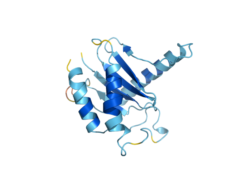 AlphaFold predicted structure of BET5