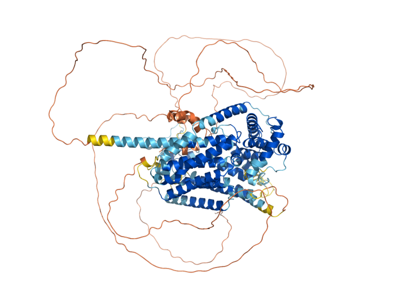 AlphaFold predicted structure of WAR1