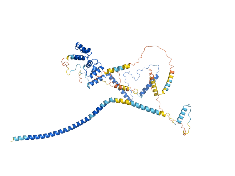 AlphaFold predicted structure of CEF1