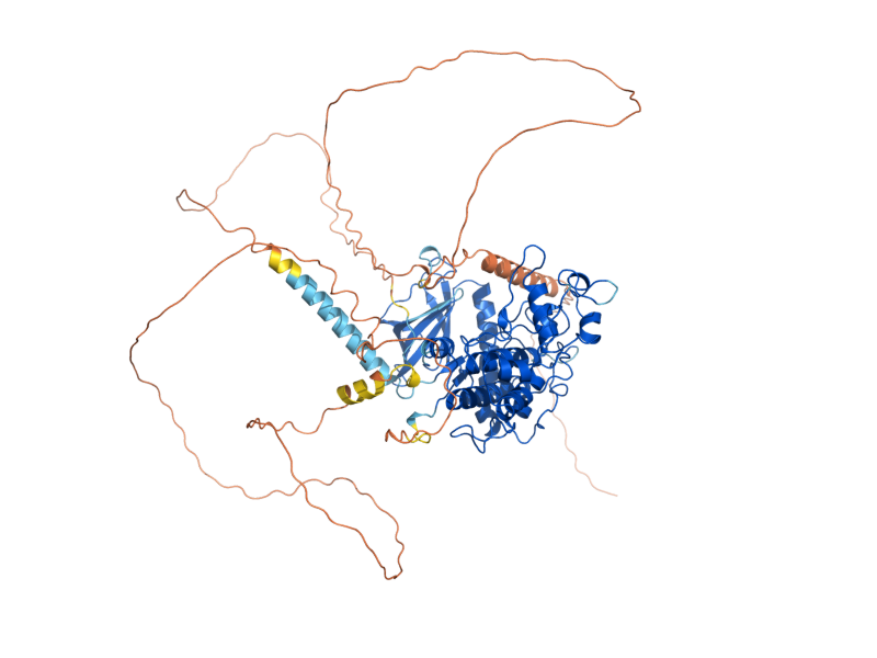 AlphaFold predicted structure of SKY1