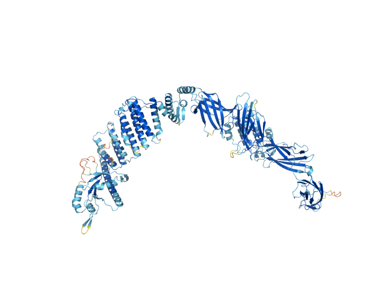 AlphaFold predicted structure of TRS130