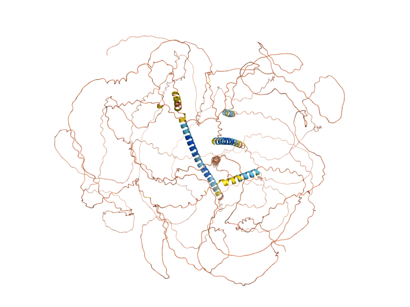 AlphaFold predicted structure of ESC1
