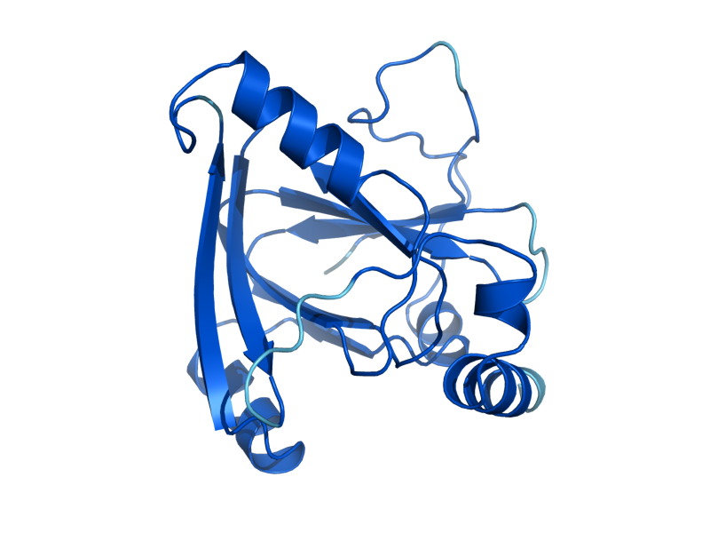 AlphaFold predicted structure of ADI1