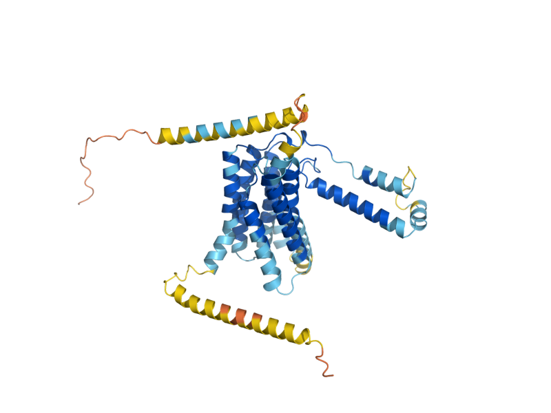 AlphaFold predicted structure of ANY1