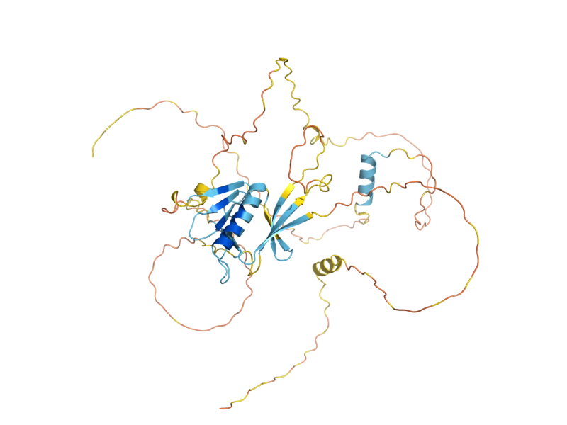 AlphaFold predicted structure of INP1