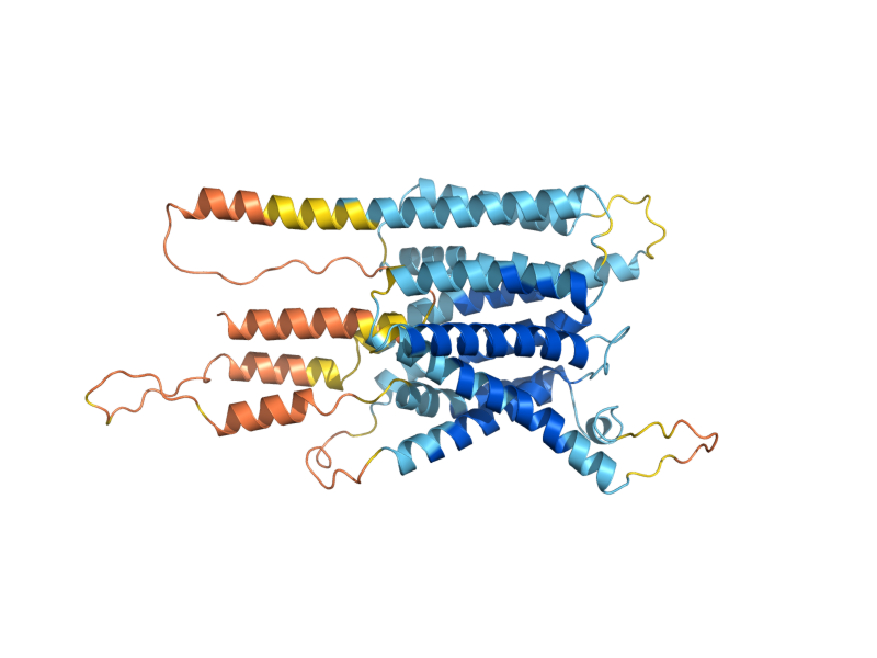AlphaFold predicted structure of YMD8