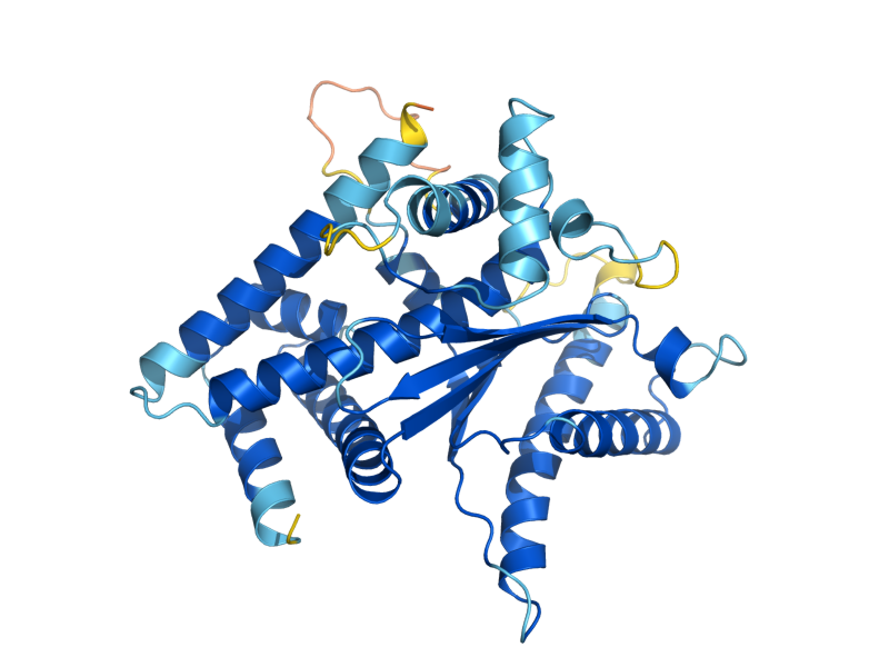 AlphaFold predicted structure of CCE1