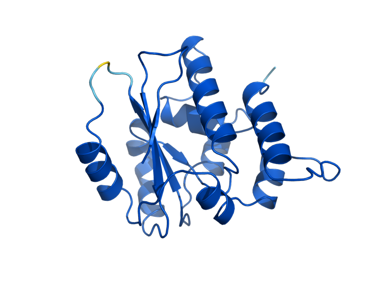 AlphaFold predicted structure of CGI121