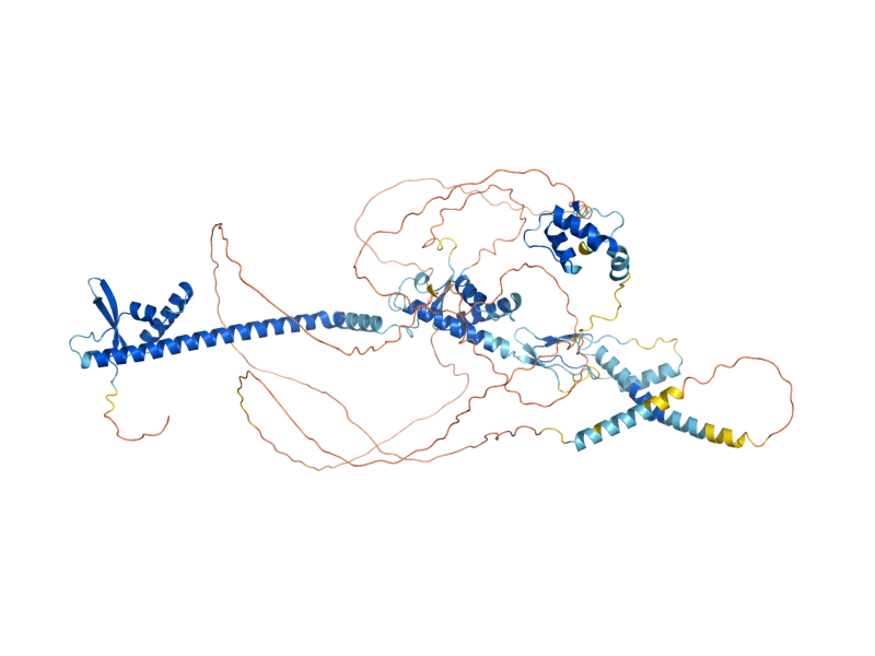 AlphaFold predicted structure of SRC1