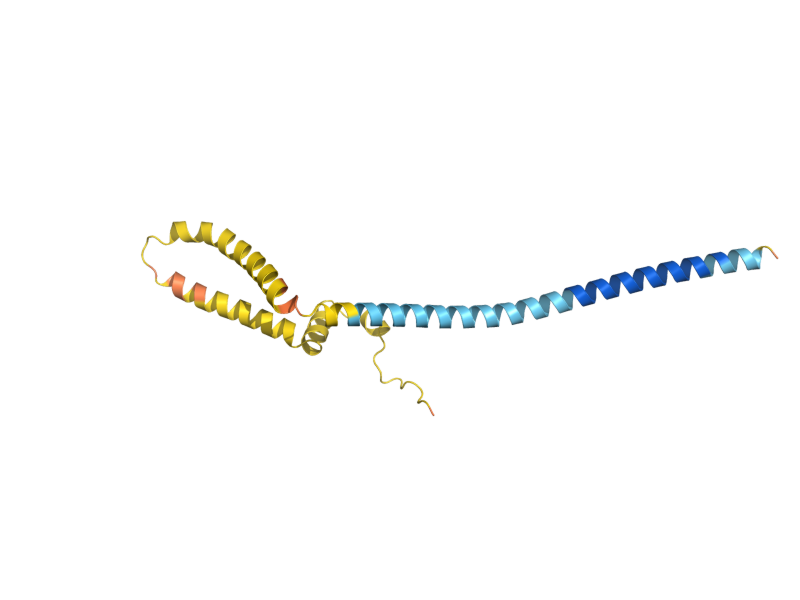 AlphaFold predicted structure of RCF1