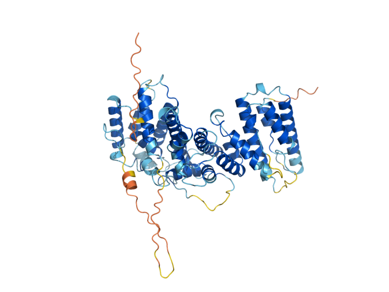 AlphaFold predicted structure of NSE5