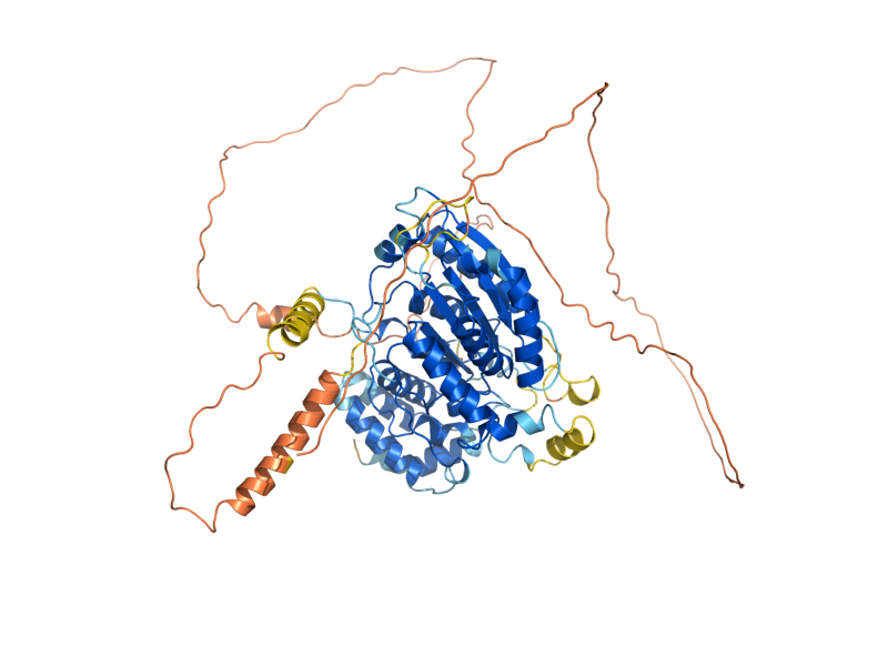 AlphaFold predicted structure of CVM2