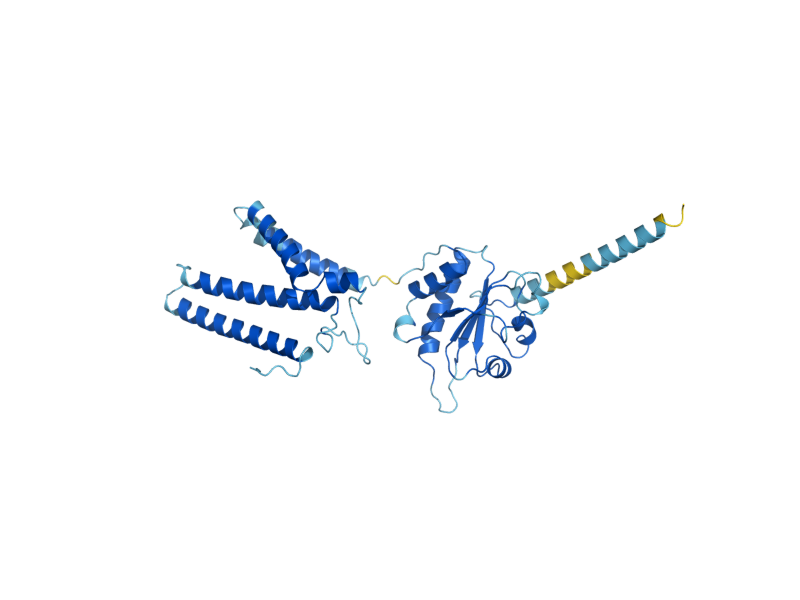 AlphaFold predicted structure of OST6