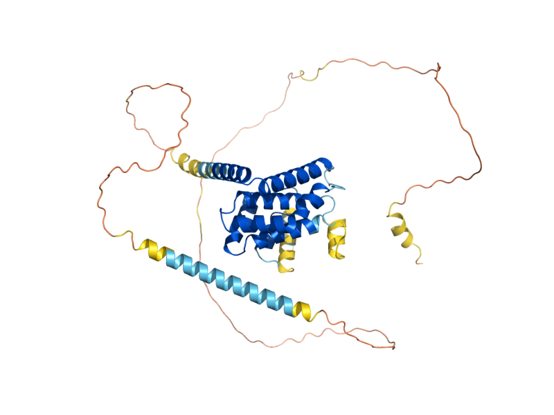 AlphaFold predicted structure of ENT5
