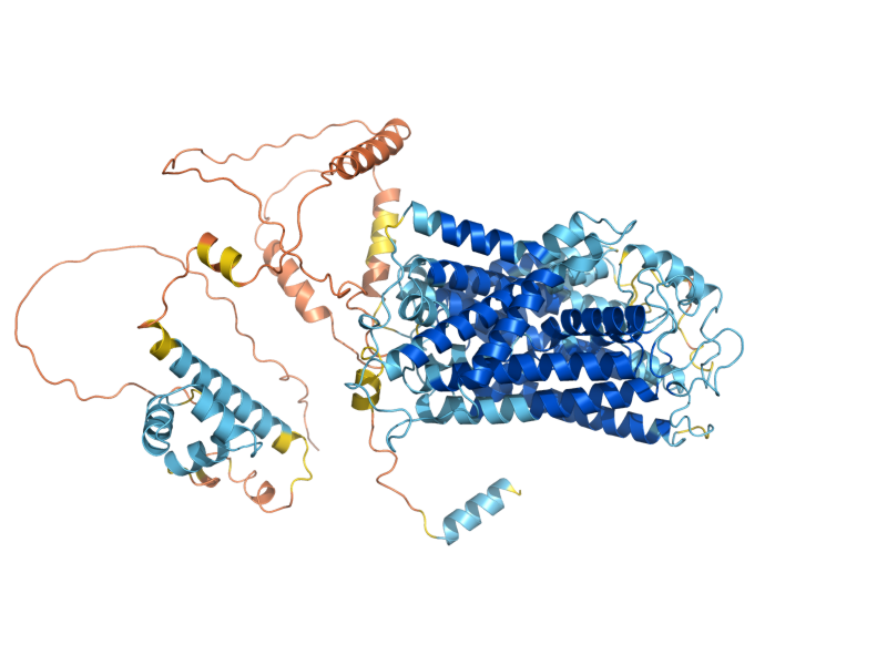 AlphaFold predicted structure of SSY1