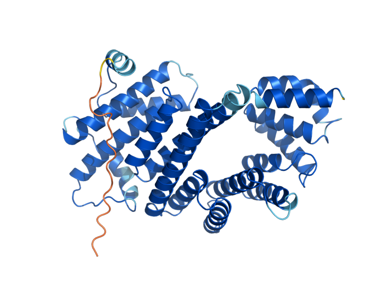 AlphaFold predicted structure of ACL4