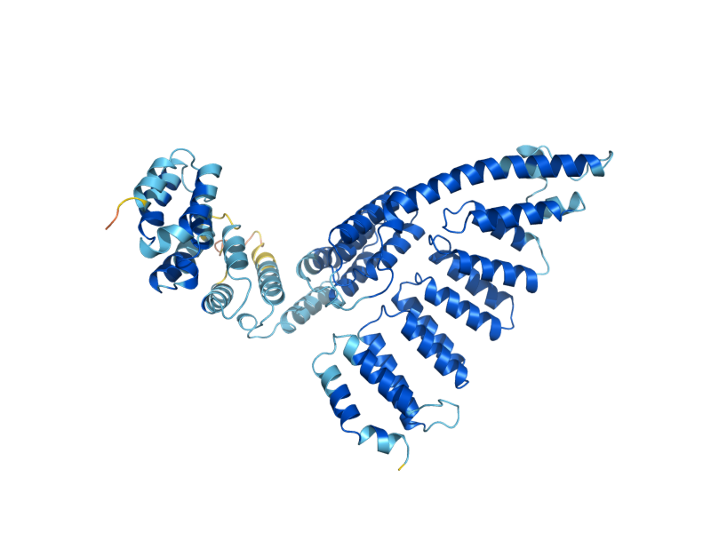 AlphaFold predicted structure of PRP42