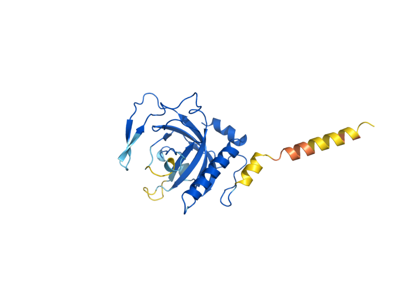AlphaFold predicted structure of FMN1