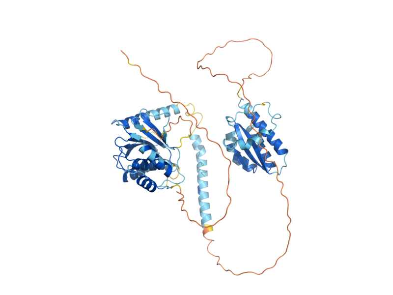 AlphaFold predicted structure of SNU56