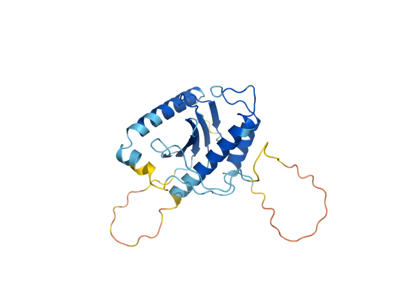 AlphaFold predicted structure of TRS23