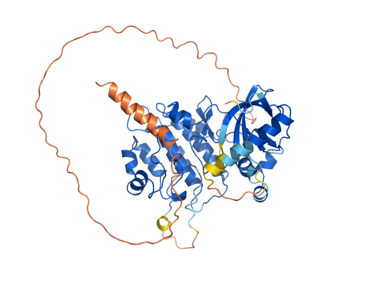 AlphaFold predicted structure of VHS1