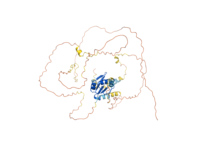 AlphaFold predicted structure of NUP53