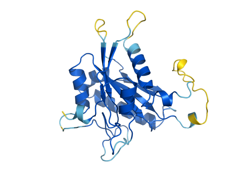 AlphaFold predicted structure of TPP1