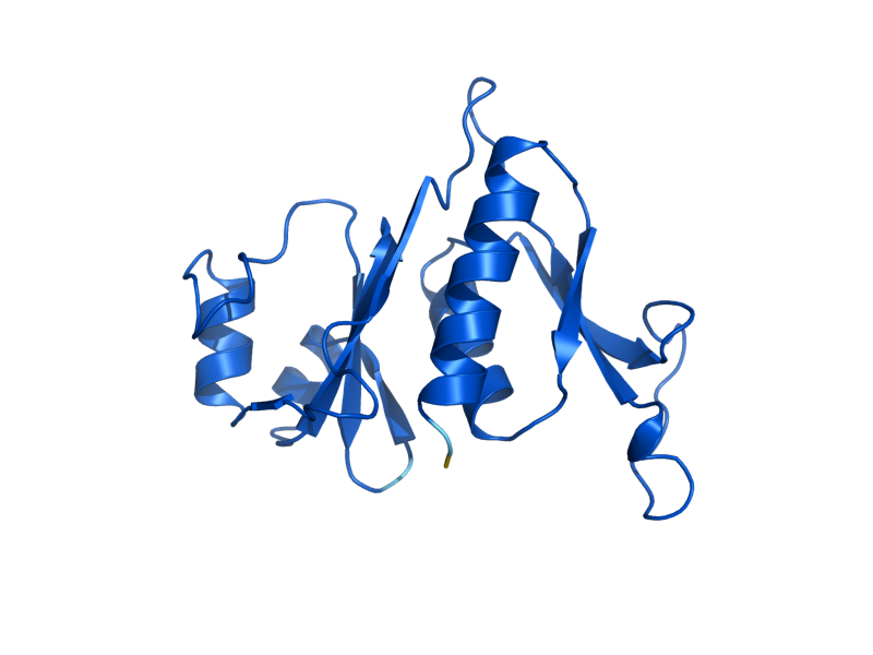 AlphaFold predicted structure of MRPS8