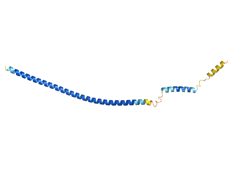 AlphaFold predicted structure of ATG16