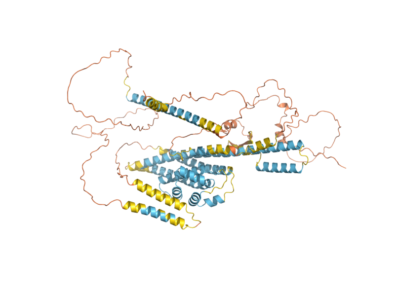 AlphaFold predicted structure of INP2