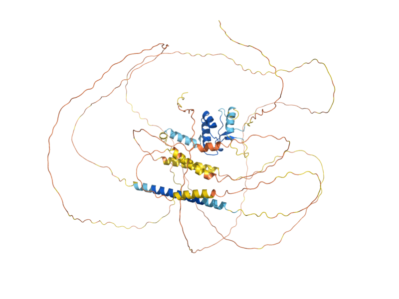 AlphaFold predicted structure of MSS11