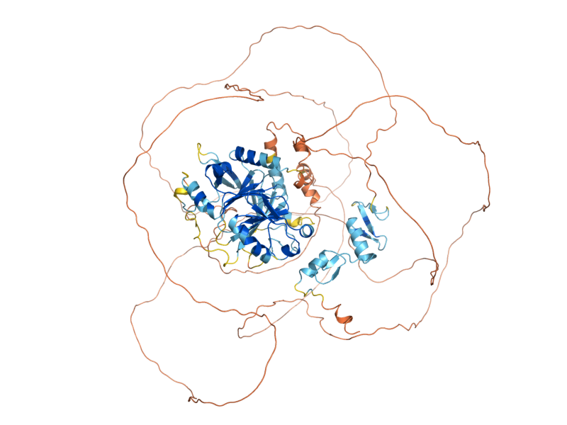 AlphaFold predicted structure of GIS1