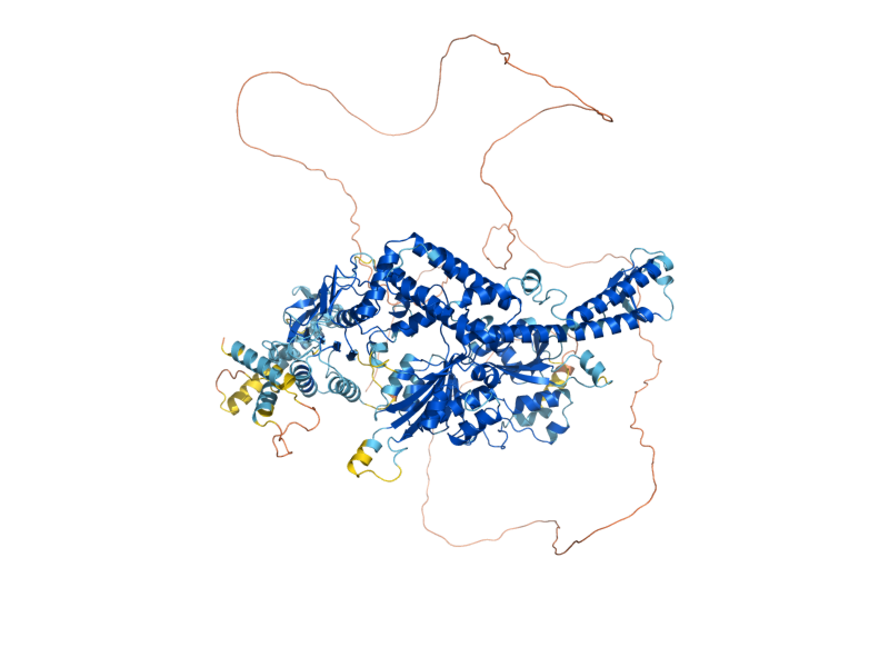 AlphaFold predicted structure of MSH6