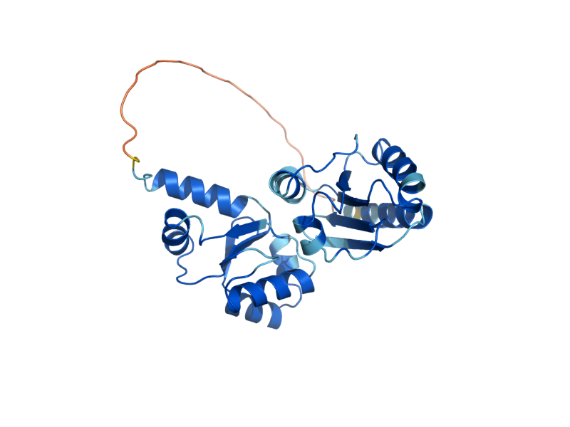 AlphaFold predicted structure of GRX3