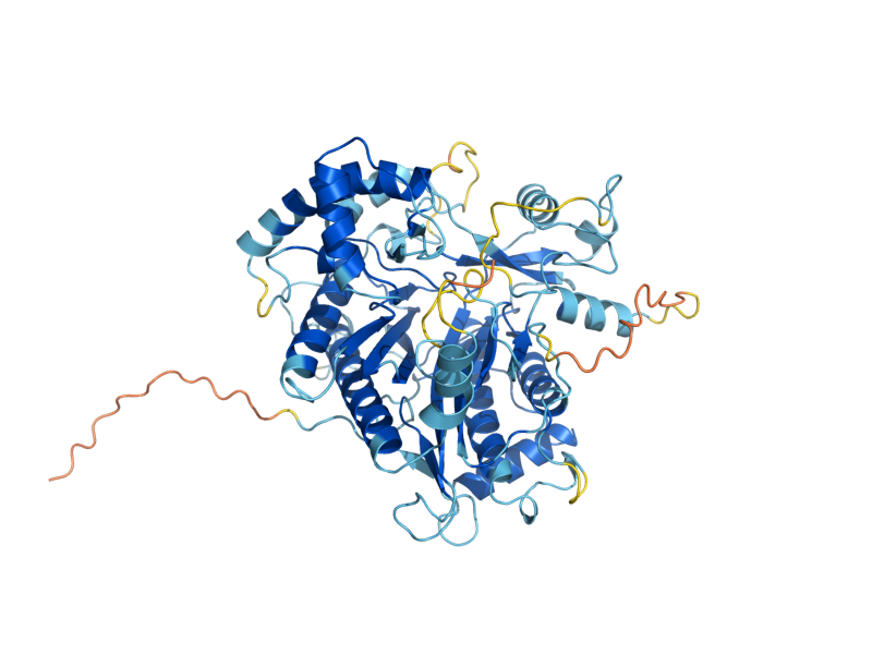 AlphaFold predicted structure of ARX1