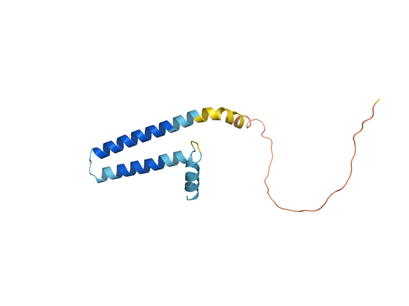 AlphaFold predicted structure of PKR1