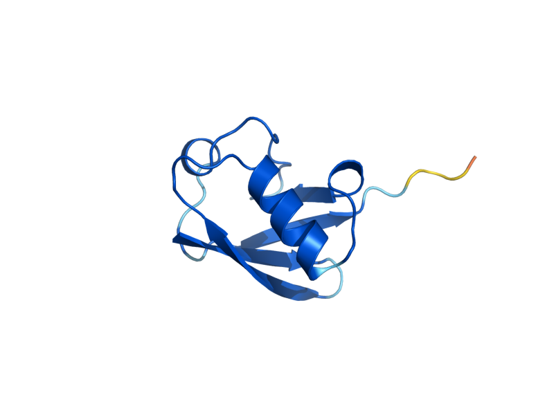 AlphaFold predicted structure of RUB1