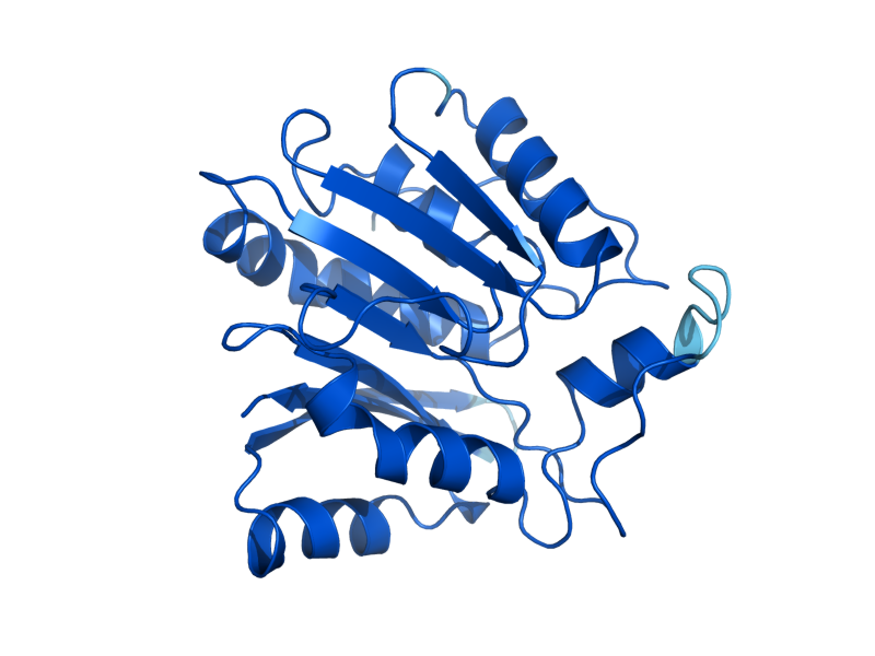 AlphaFold predicted structure of MTQ2