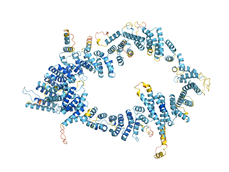 AlphaFold predicted structure of DOP1